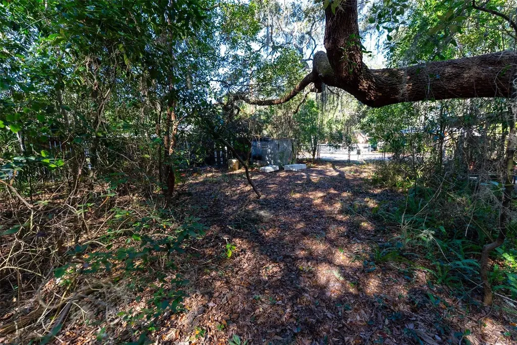 24971 NE 135th Street Salt Springs FL 32134