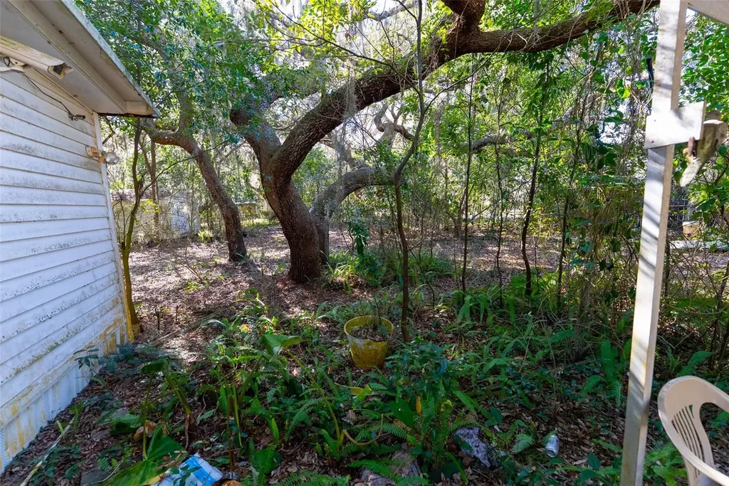 24971 NE 135th Street Salt Springs FL 32134
