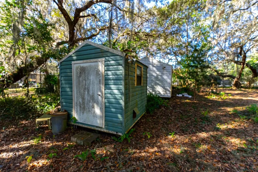 24971 NE 135th Street Salt Springs FL 32134