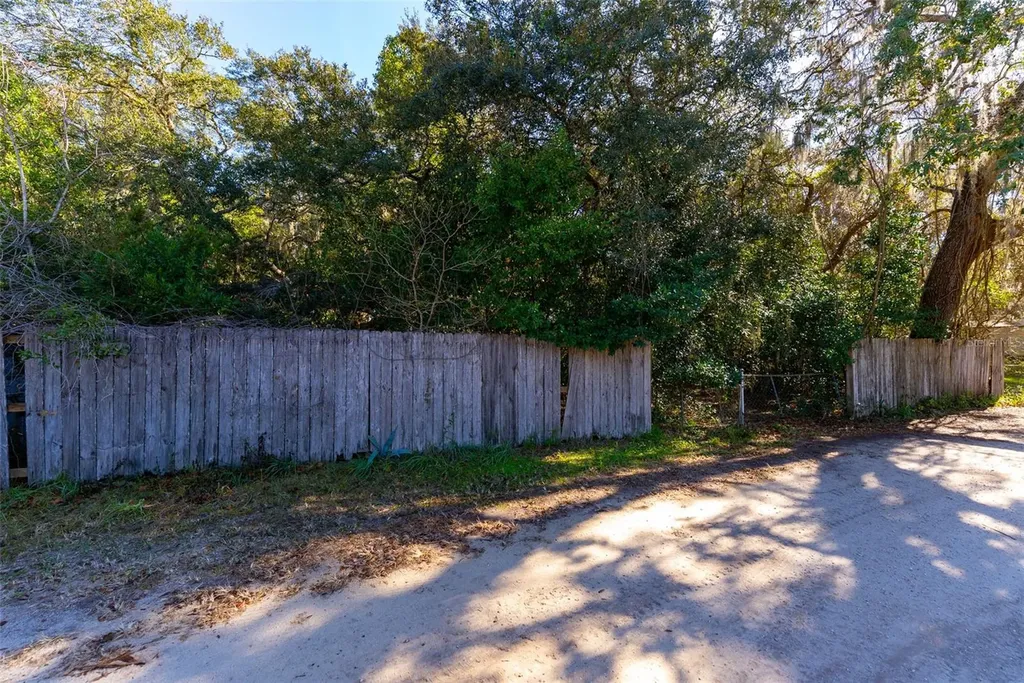 24971 NE 135th Street Salt Springs FL 32134