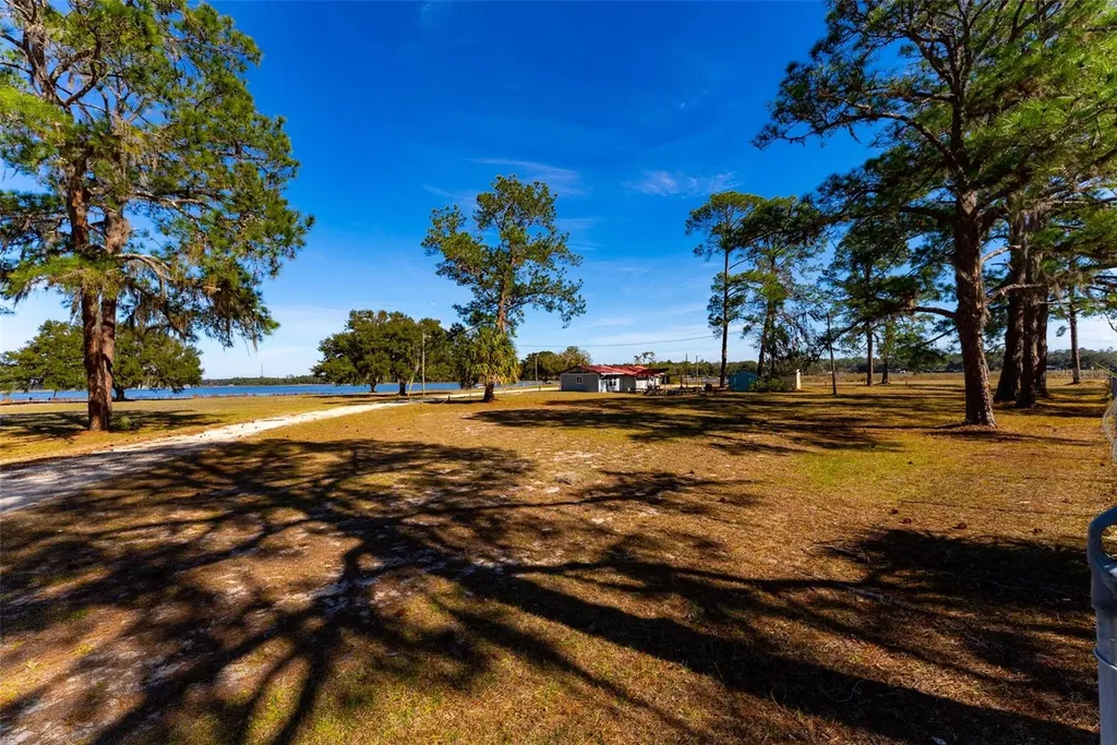 24971 NE 135th Street Salt Springs FL 32134