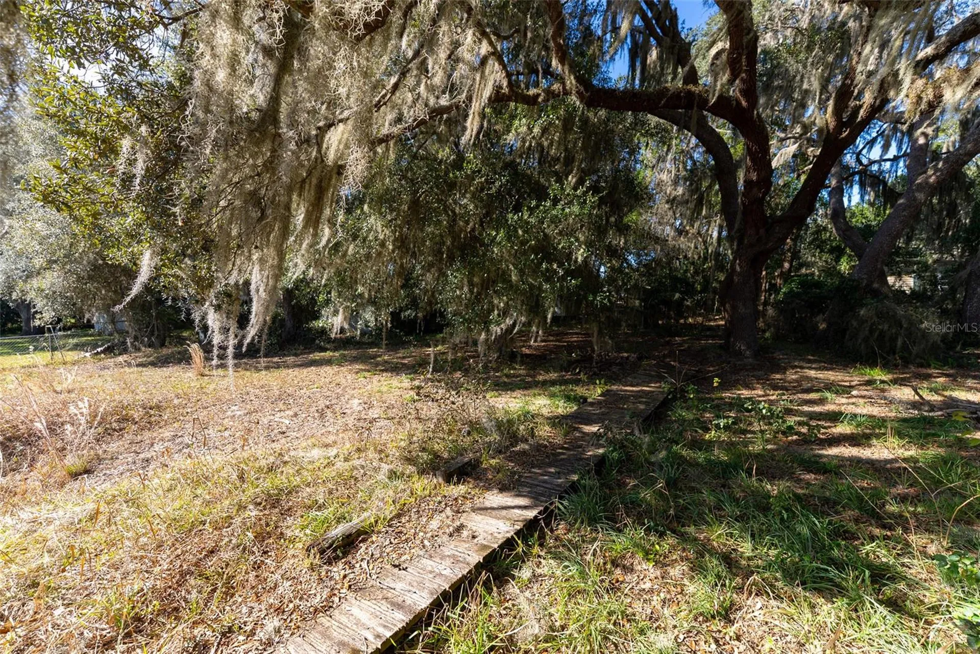 24971 NE 135th Street Salt Springs FL 32134