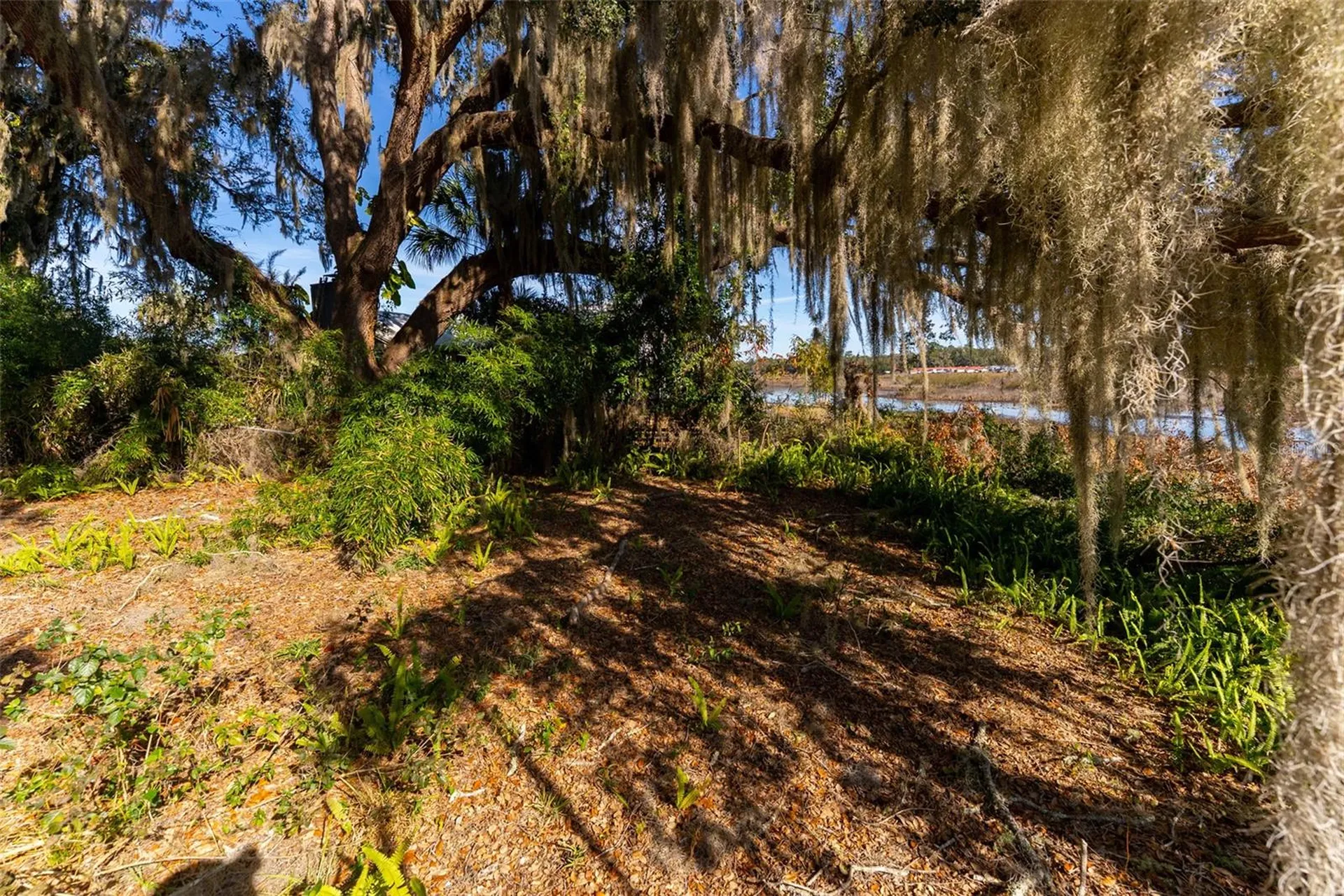 24971 NE 135th Street Salt Springs FL 32134