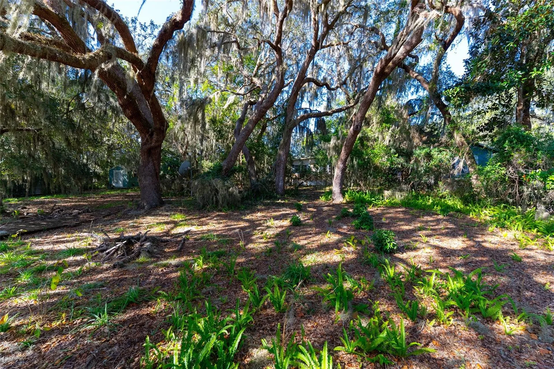 24971 NE 135th Street Salt Springs FL 32134