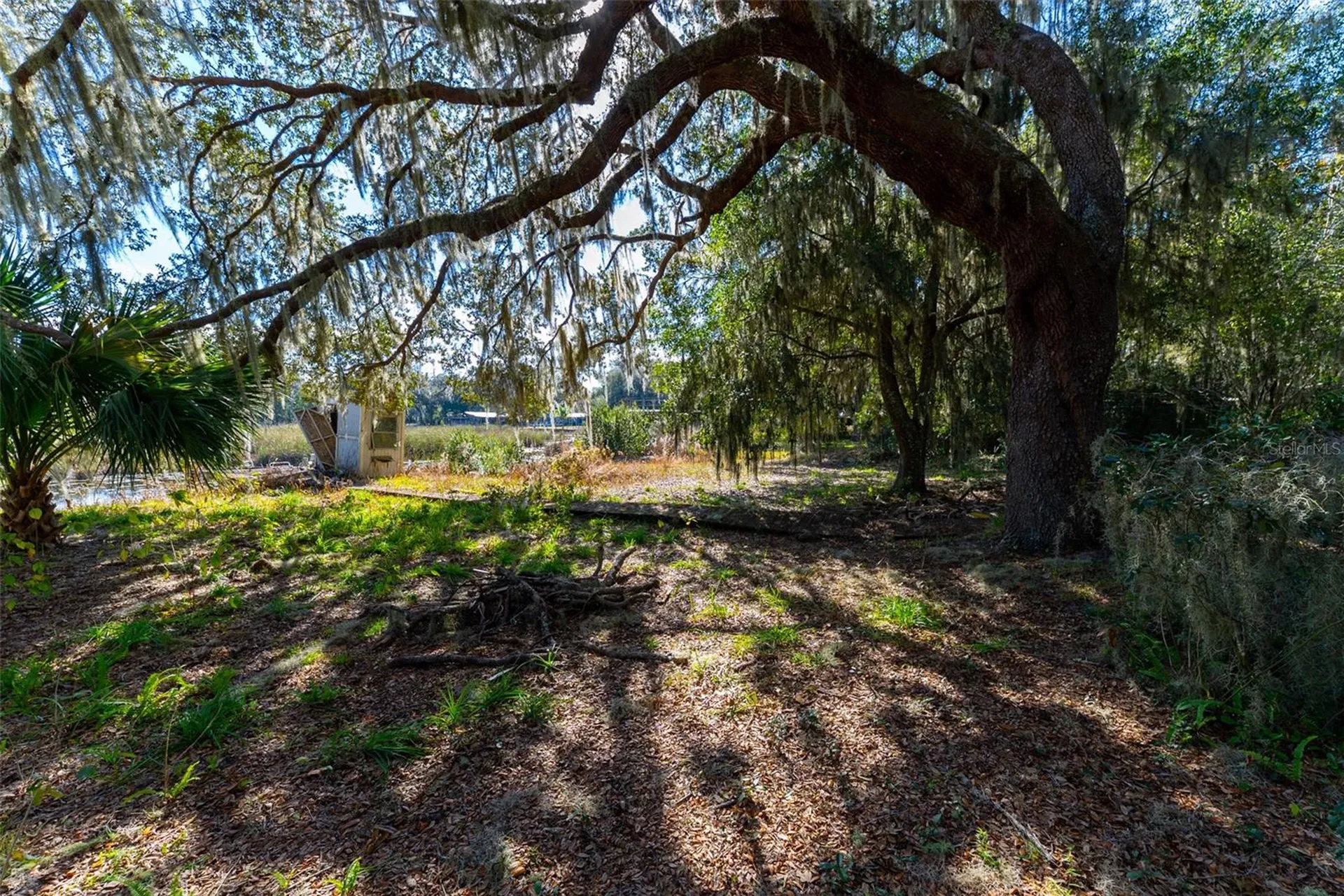 24971 NE 135th Street Salt Springs FL 32134