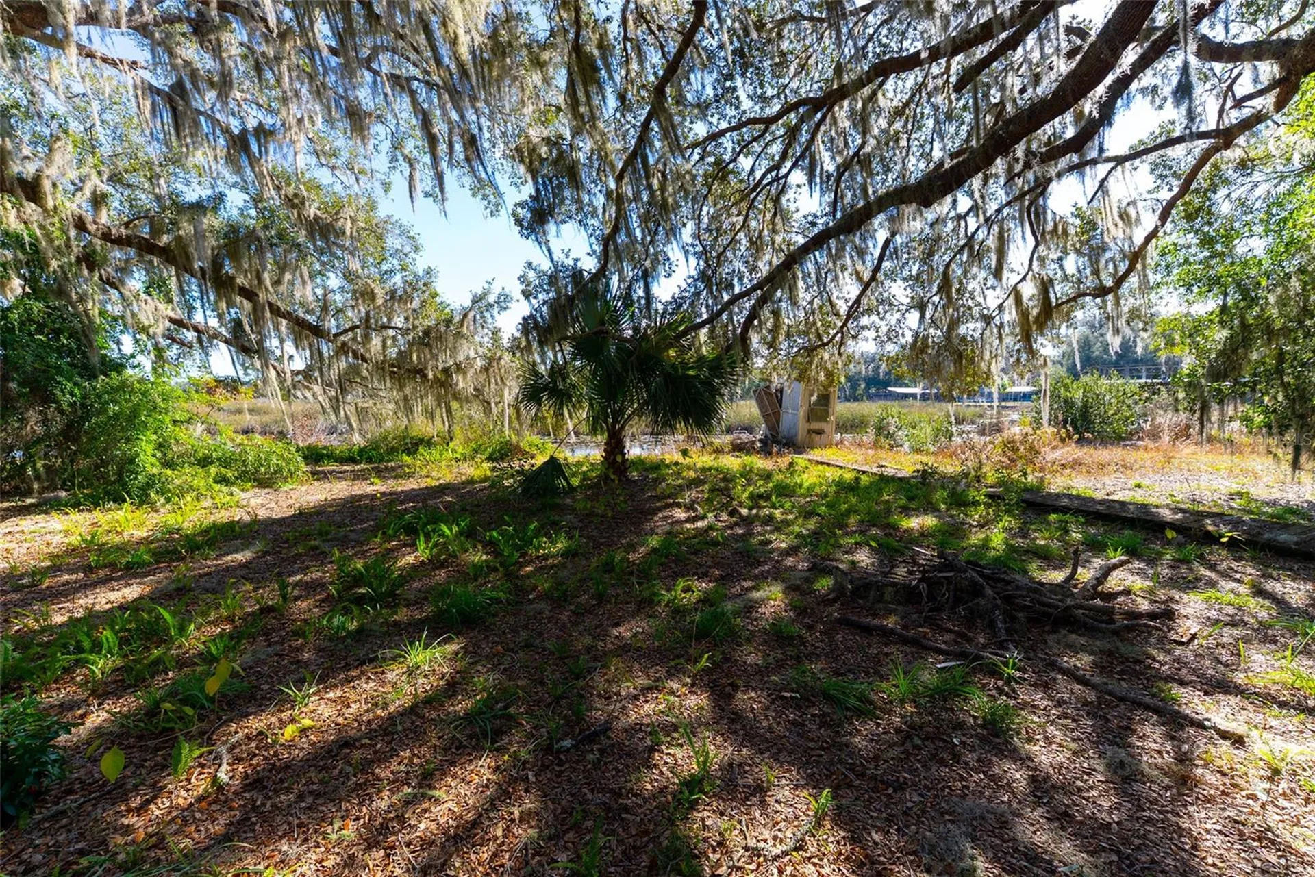 24971 NE 135th Street Salt Springs FL 32134