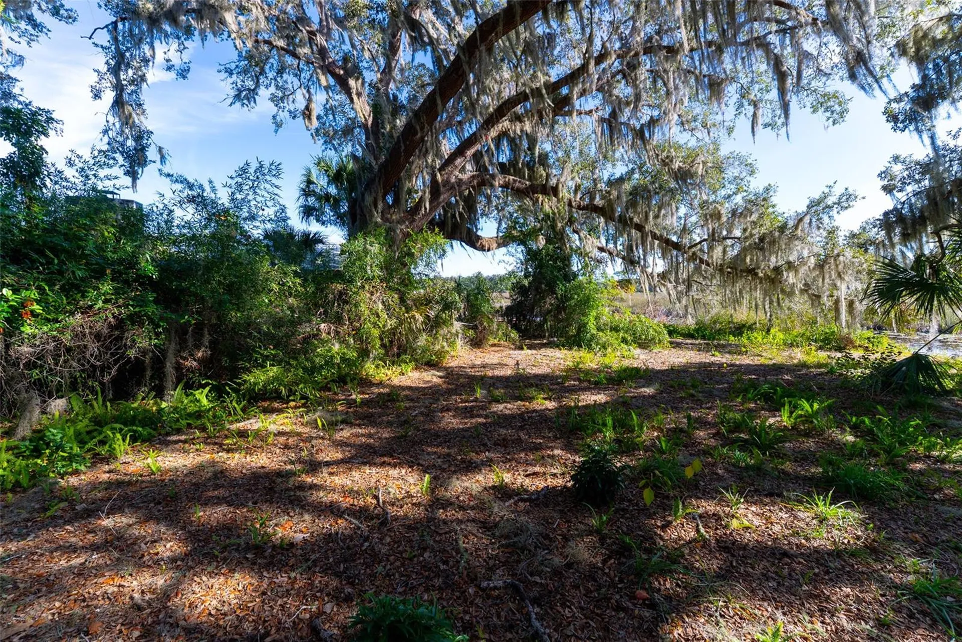 24971 NE 135th Street Salt Springs FL 32134