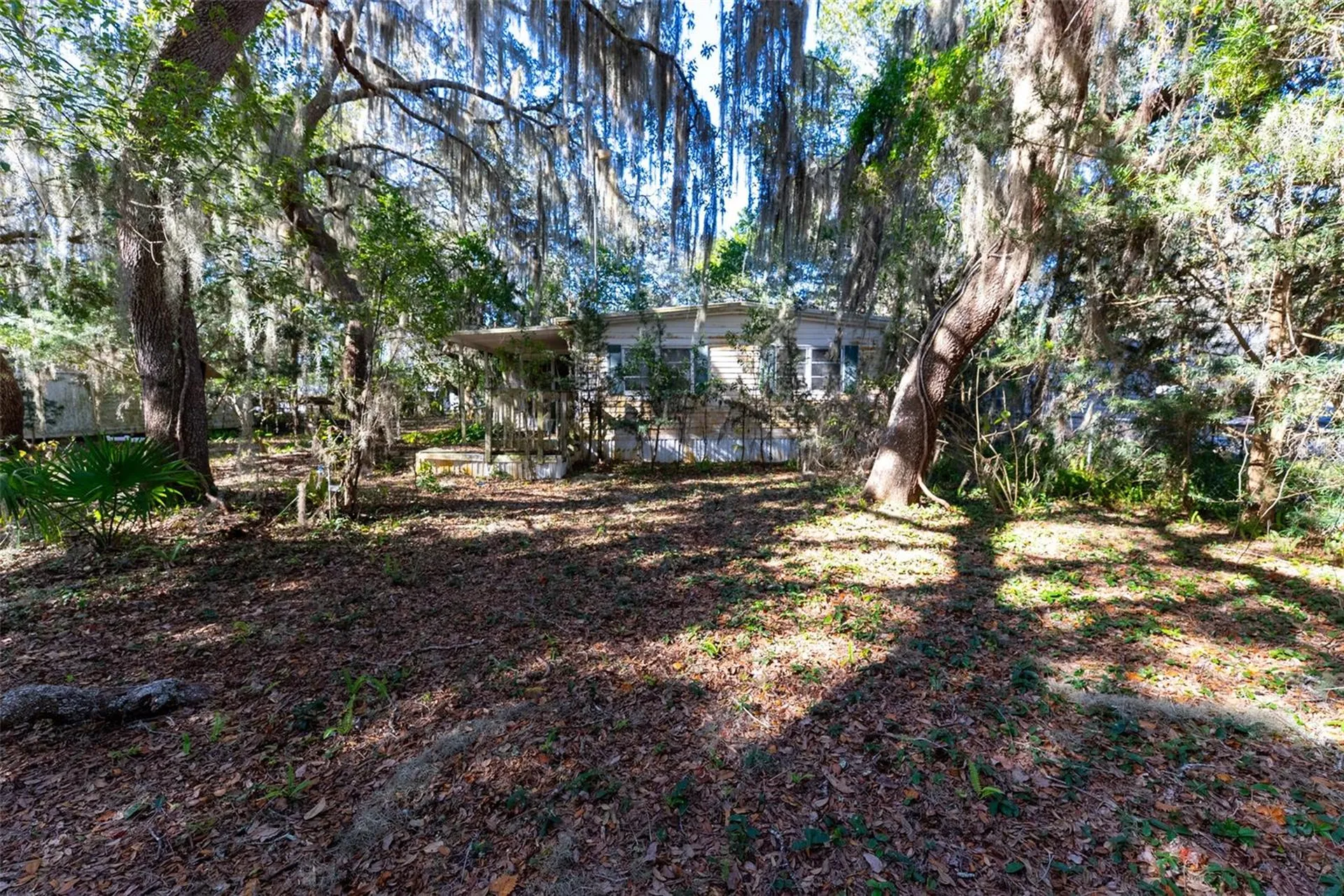24971 NE 135th Street Salt Springs FL 32134