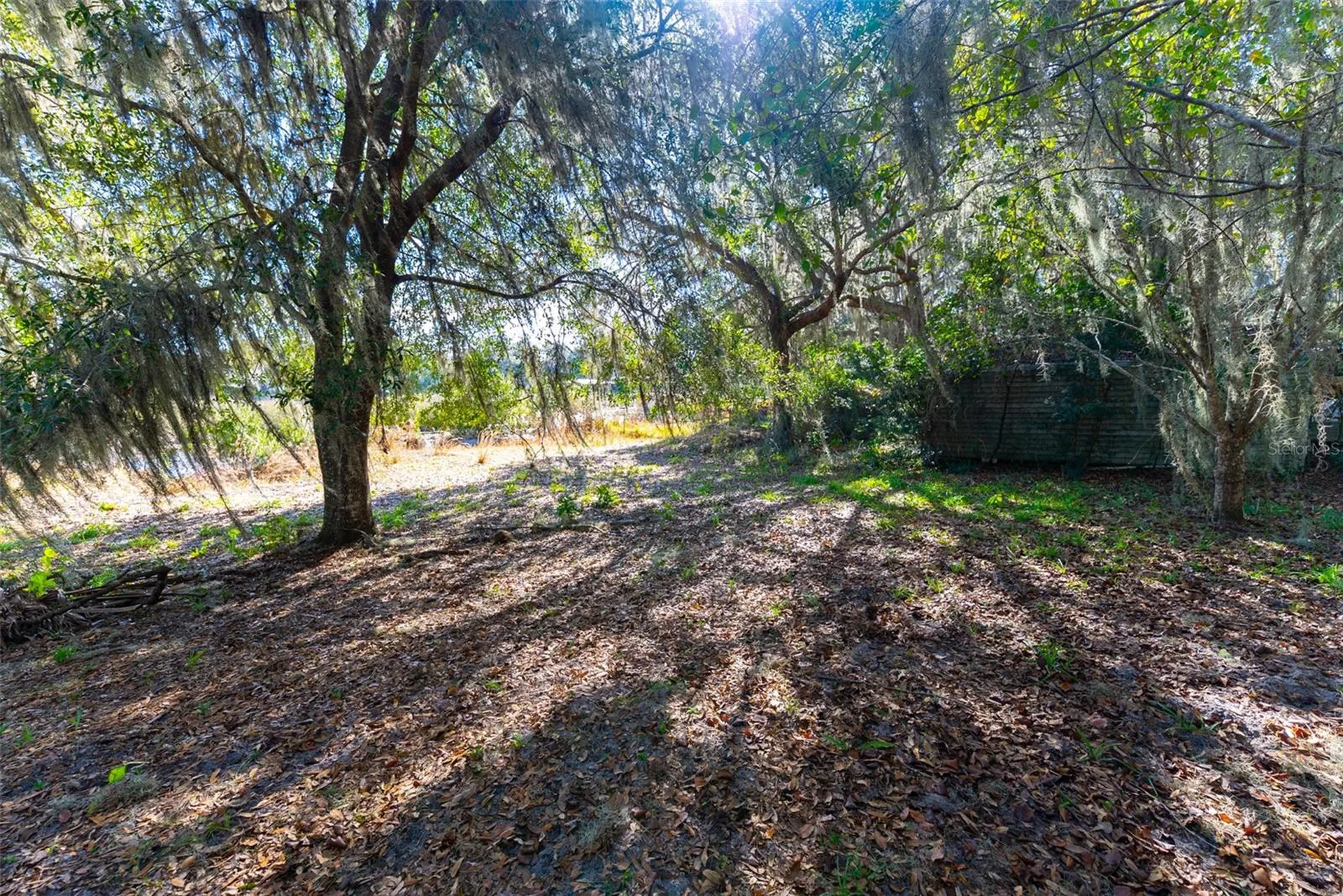24971 NE 135th Street Salt Springs FL 32134