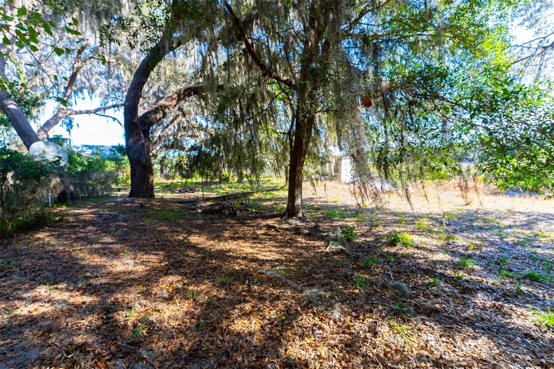 24971 NE 135th Street Salt Springs FL 32134