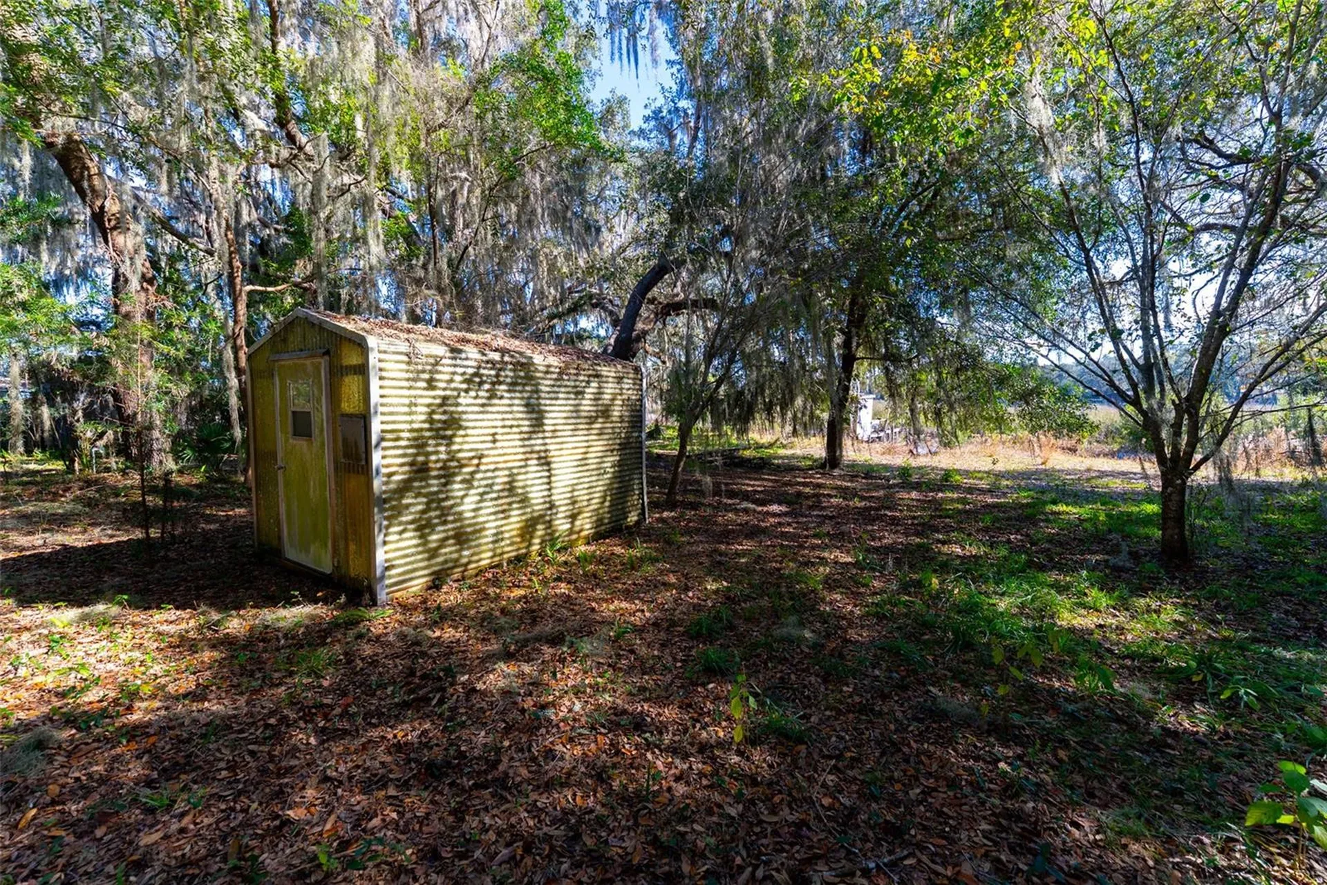 24971 NE 135th Street Salt Springs FL 32134