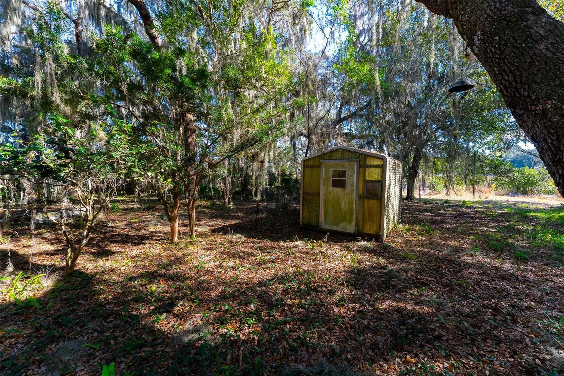 24971 NE 135th Street Salt Springs FL 32134