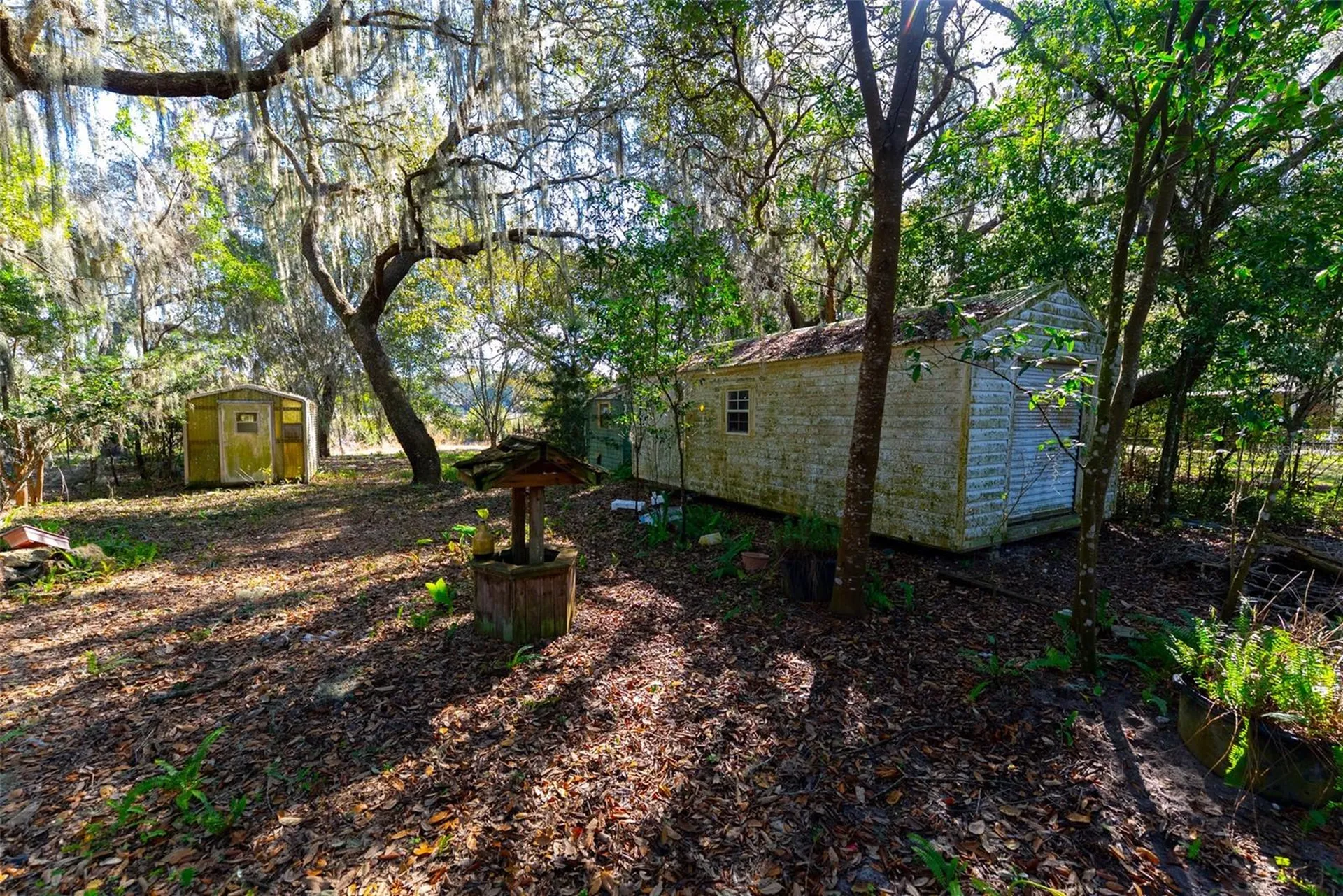 24971 NE 135th Street Salt Springs FL 32134