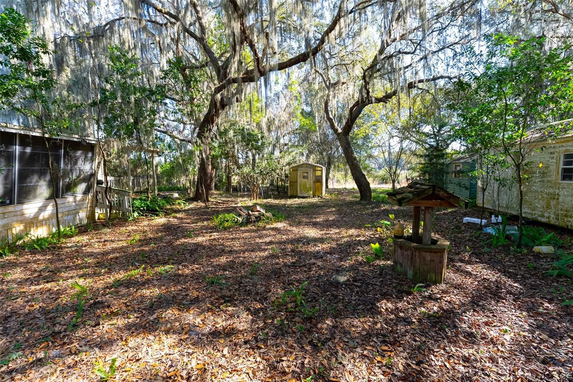 24971 NE 135th Street Salt Springs FL 32134