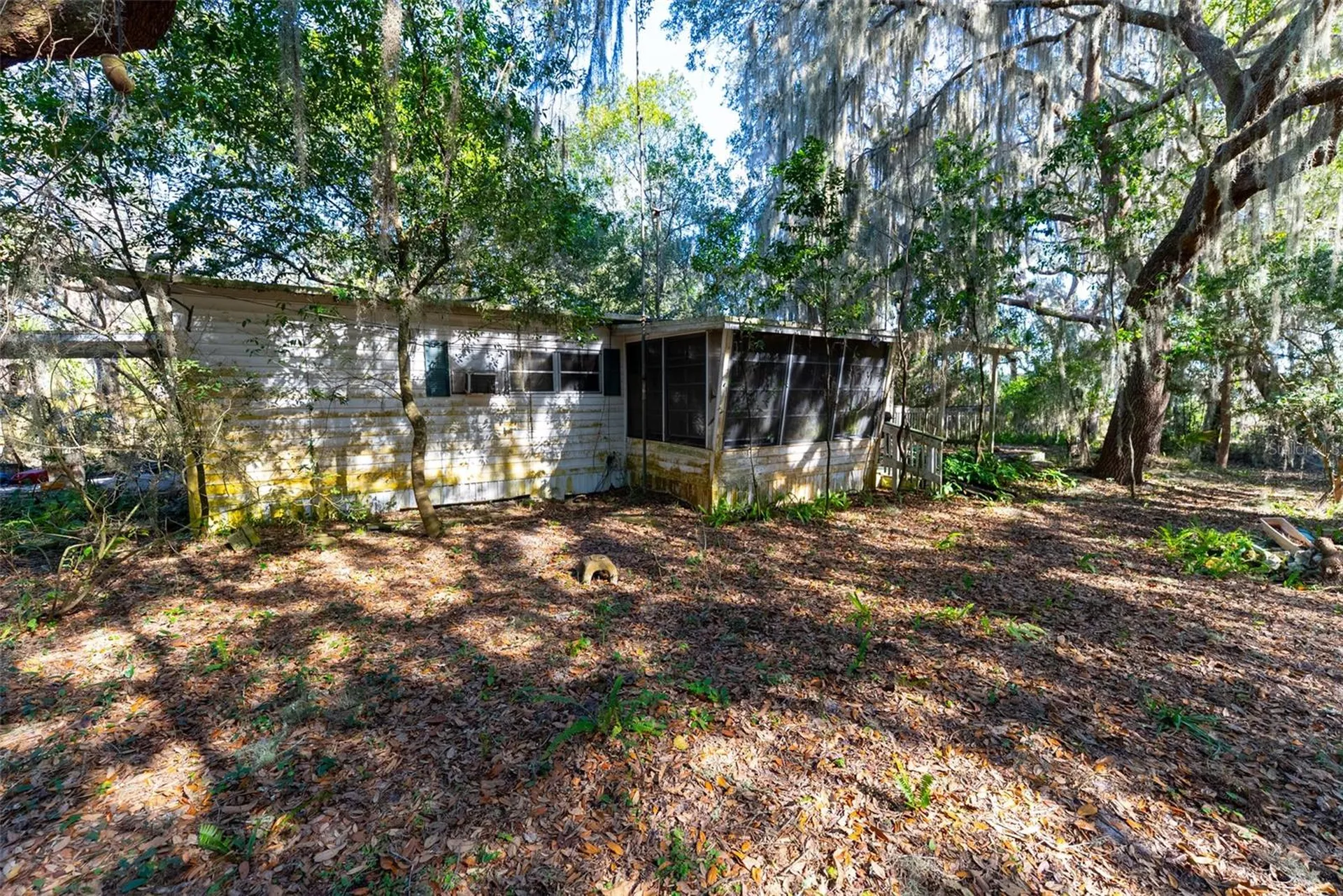 24971 NE 135th Street Salt Springs FL 32134