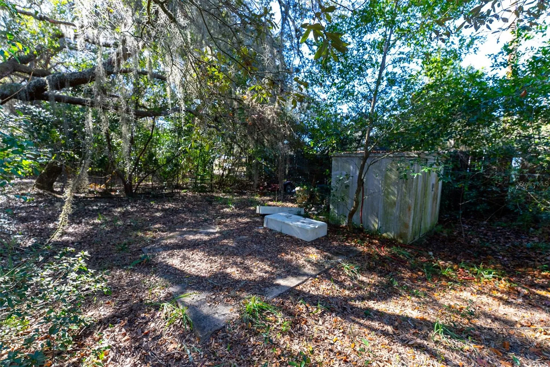 24971 NE 135th Street Salt Springs FL 32134
