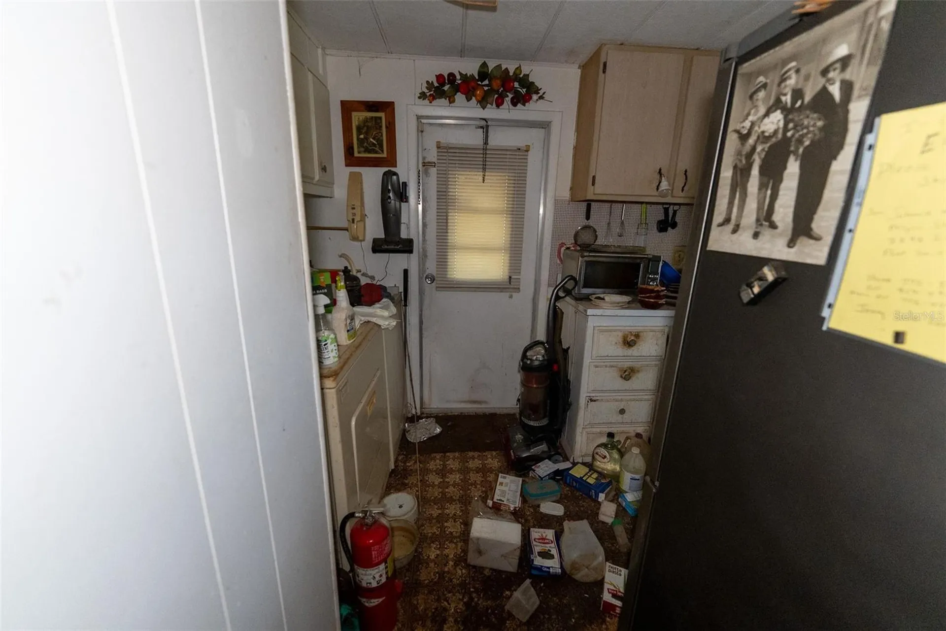 24971 NE 135th Street Salt Springs FL 32134