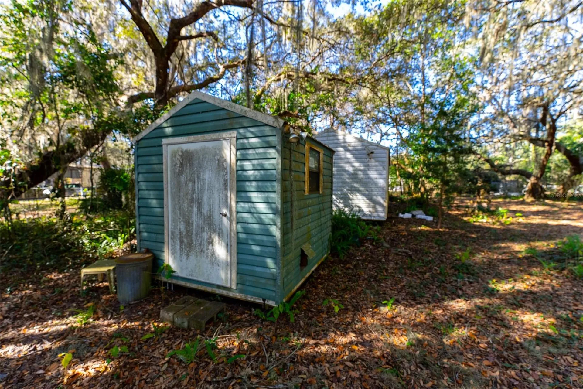 24971 NE 135th Street Salt Springs FL 32134