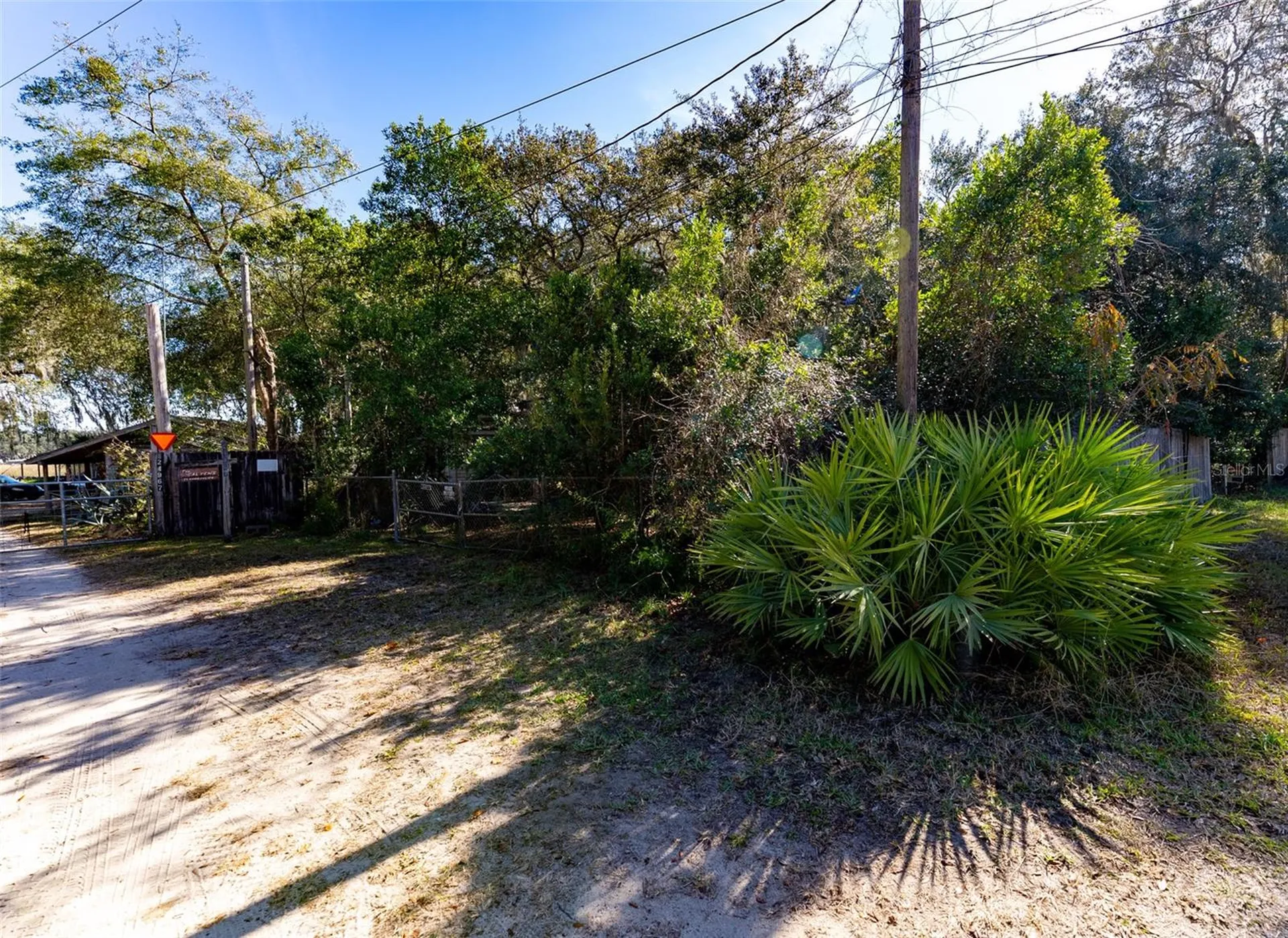 24971 NE 135th Street Salt Springs FL 32134