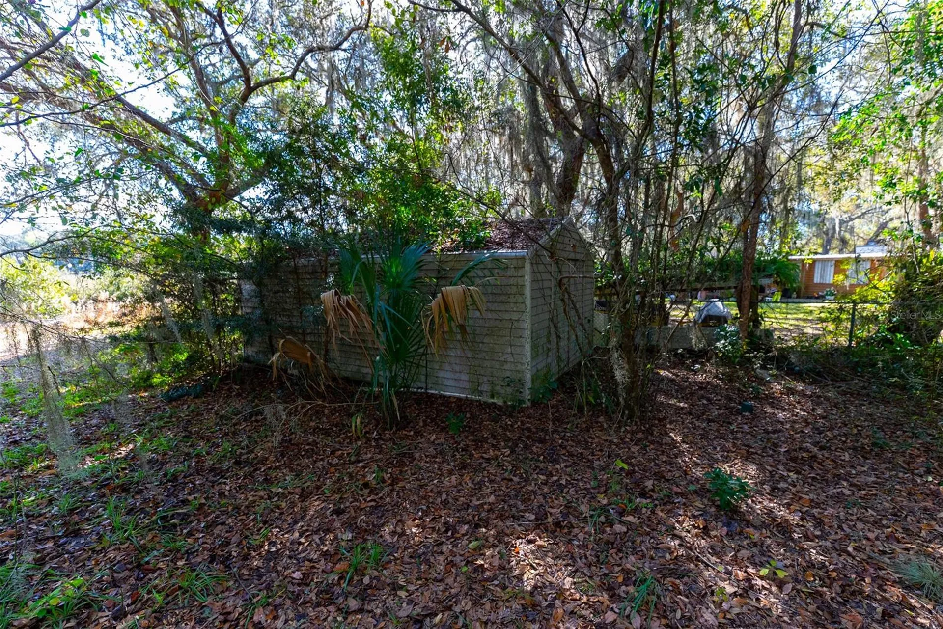 24971 NE 135th Street Salt Springs FL 32134