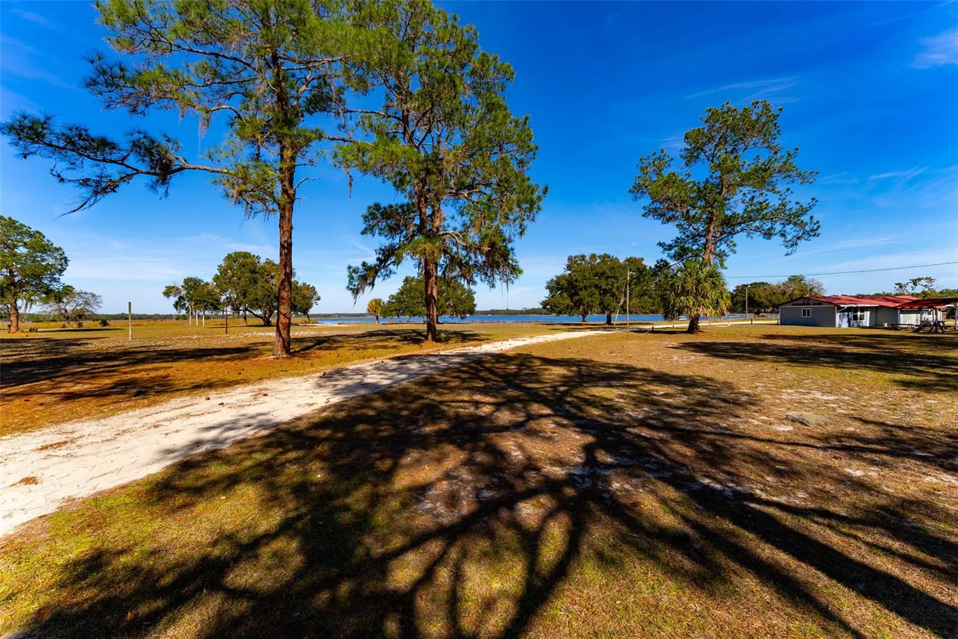 24971 NE 135th Street Salt Springs FL 32134