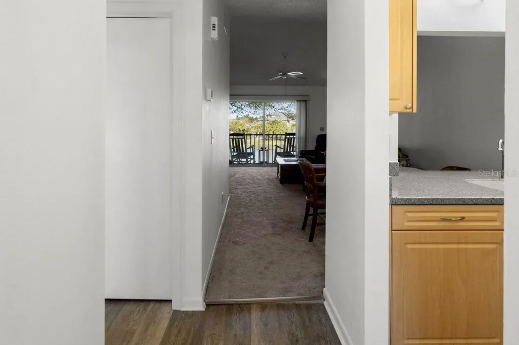 1438 Millstream Lane Dunedin FL 34698