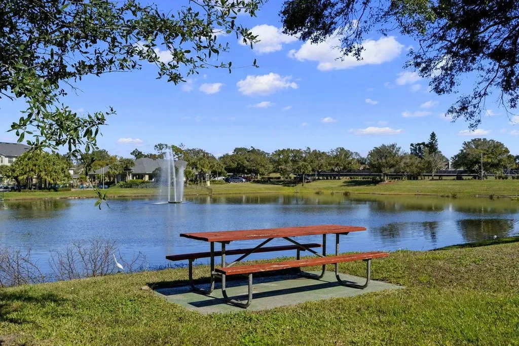 1438 Millstream Lane Dunedin FL 34698