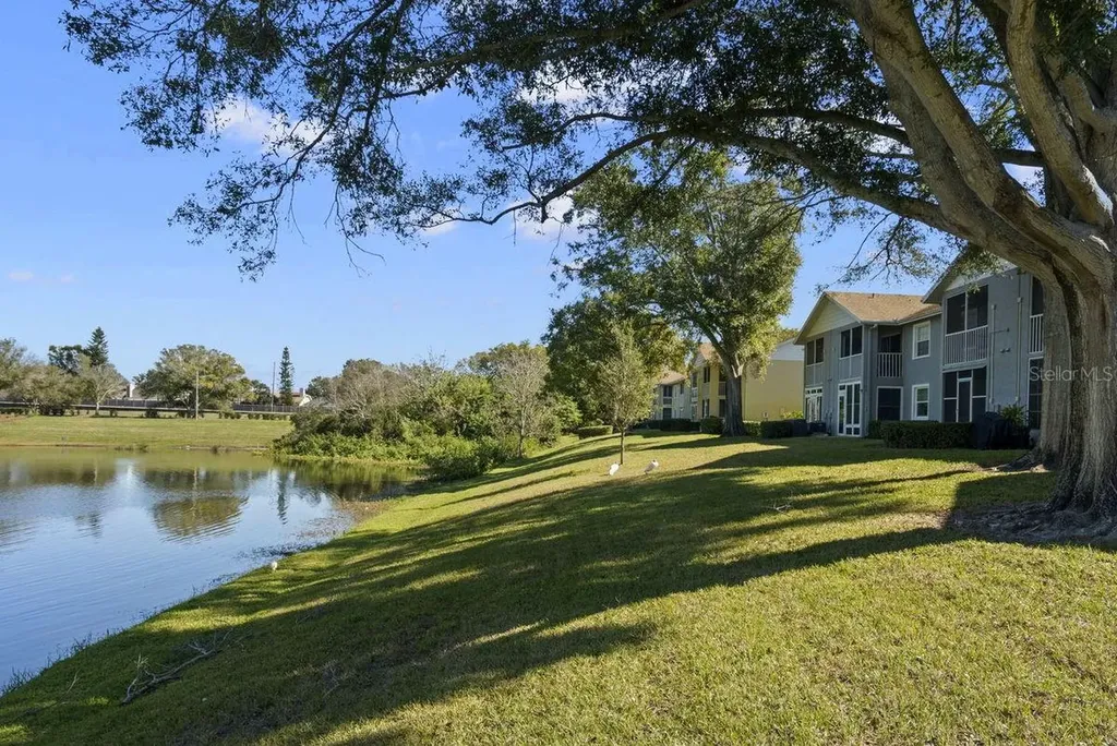 1438 Millstream Lane Dunedin FL 34698