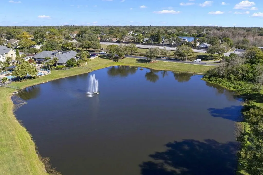 1438 Millstream Lane Dunedin FL 34698