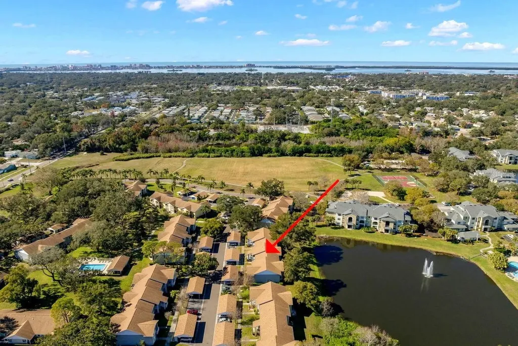 1438 Millstream Lane Dunedin FL 34698