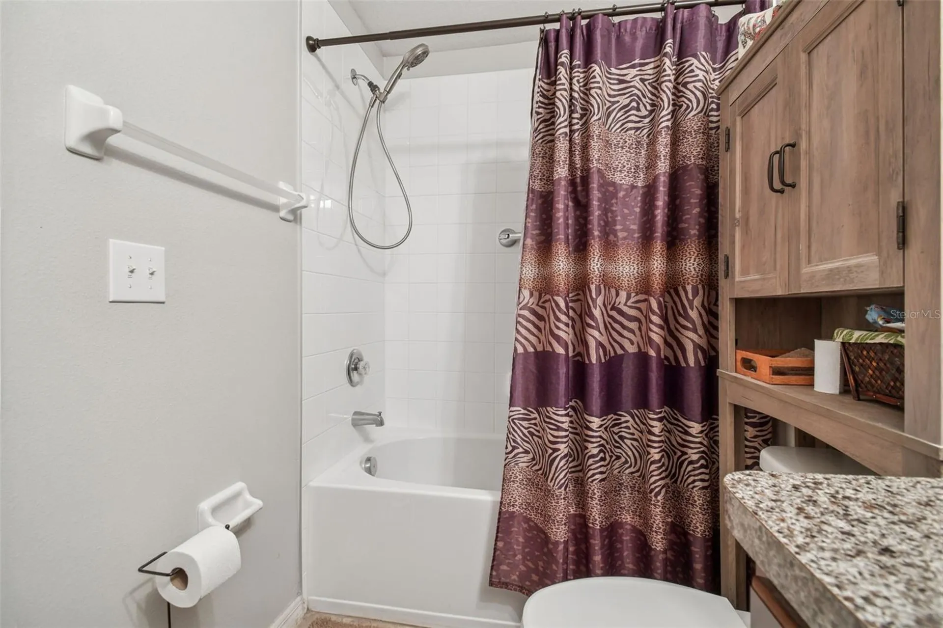 10248 Carloway Hills Drive Wimauma FL 33598