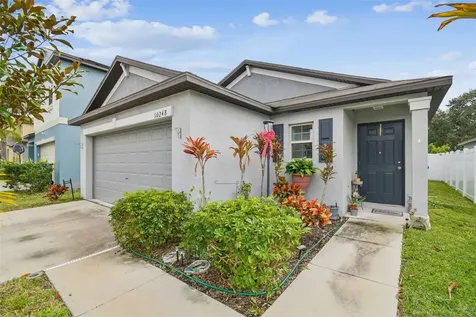 10248 Carloway Hills Drive Wimauma FL 33598