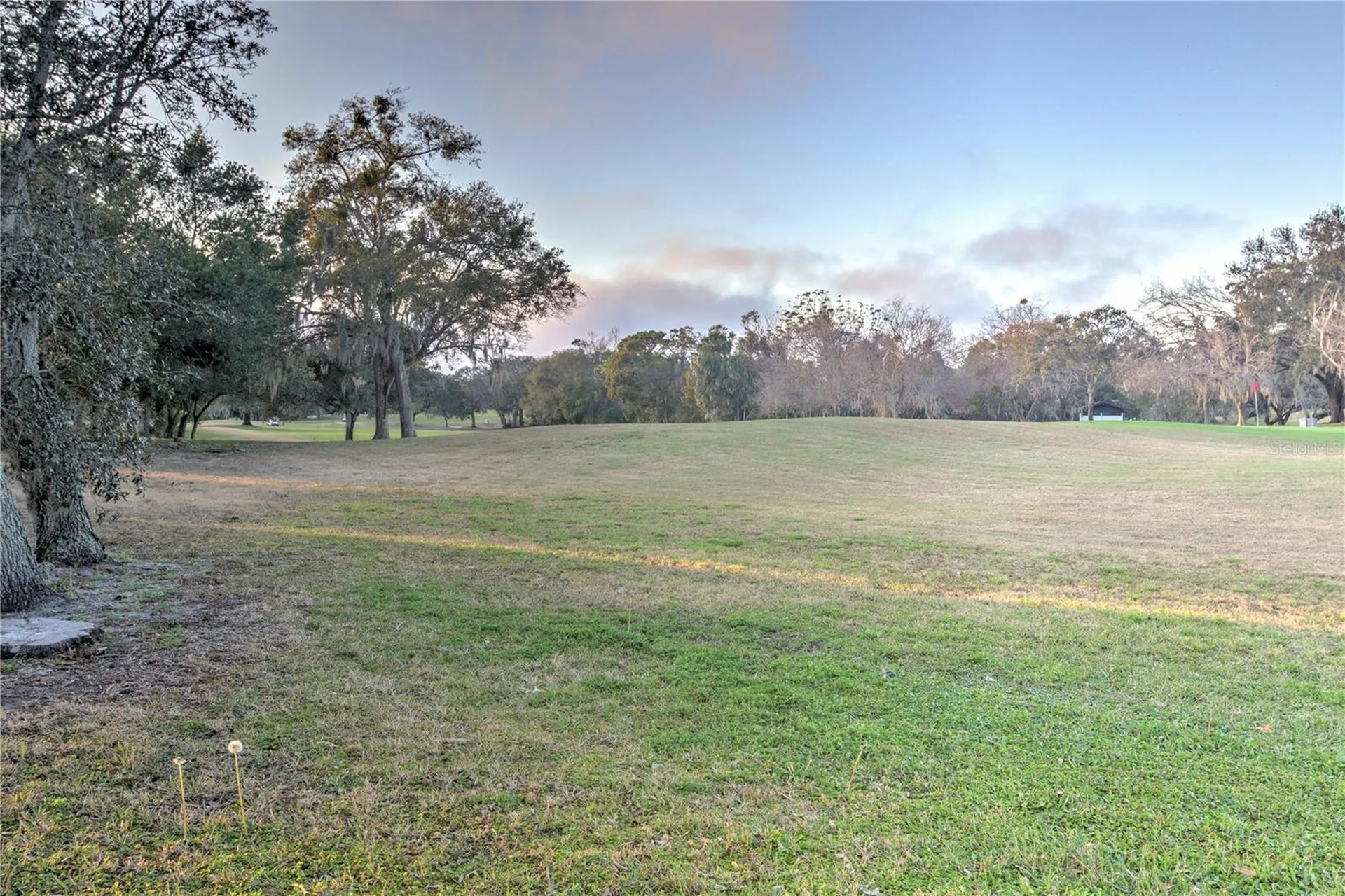 12912 Willoughby Lane Hudson FL 34667