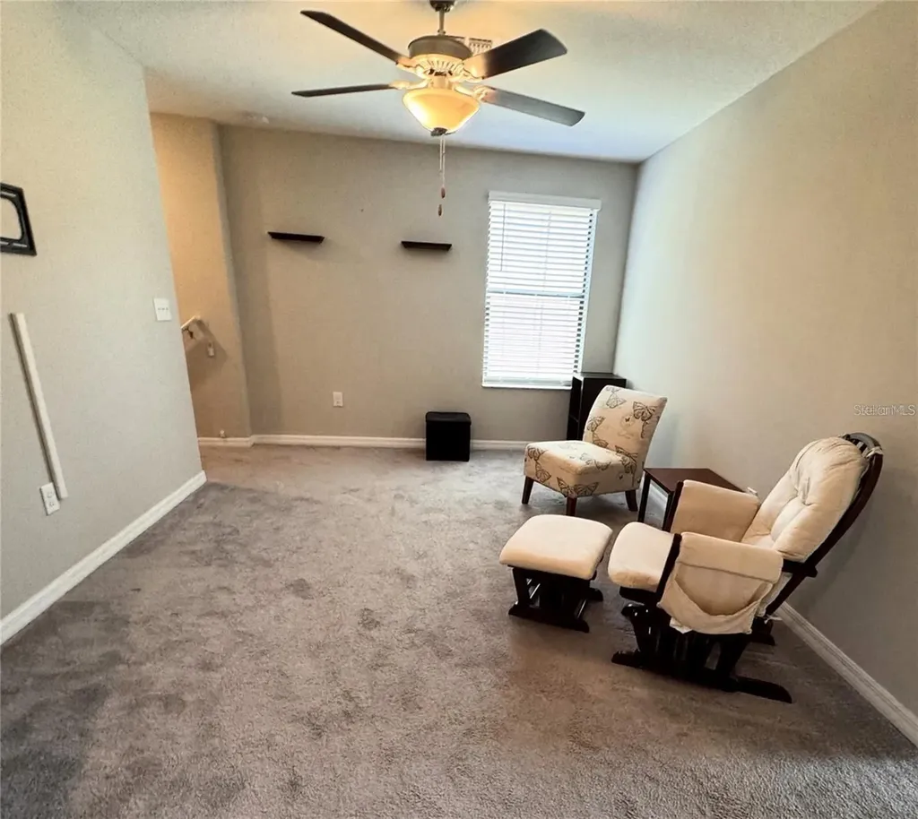 12717 Lemon Pepper Drive Riverview FL 33578