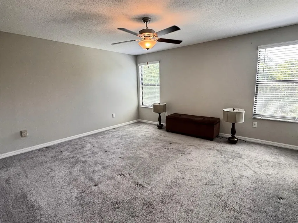 12717 Lemon Pepper Drive Riverview FL 33578