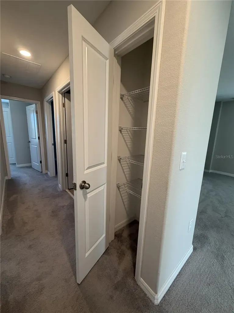 12717 Lemon Pepper Drive Riverview FL 33578