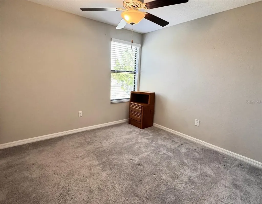 12717 Lemon Pepper Drive Riverview FL 33578