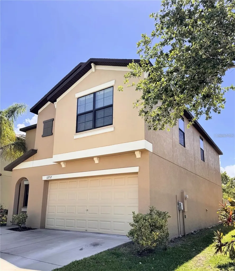 12717 Lemon Pepper Drive Riverview FL 33578