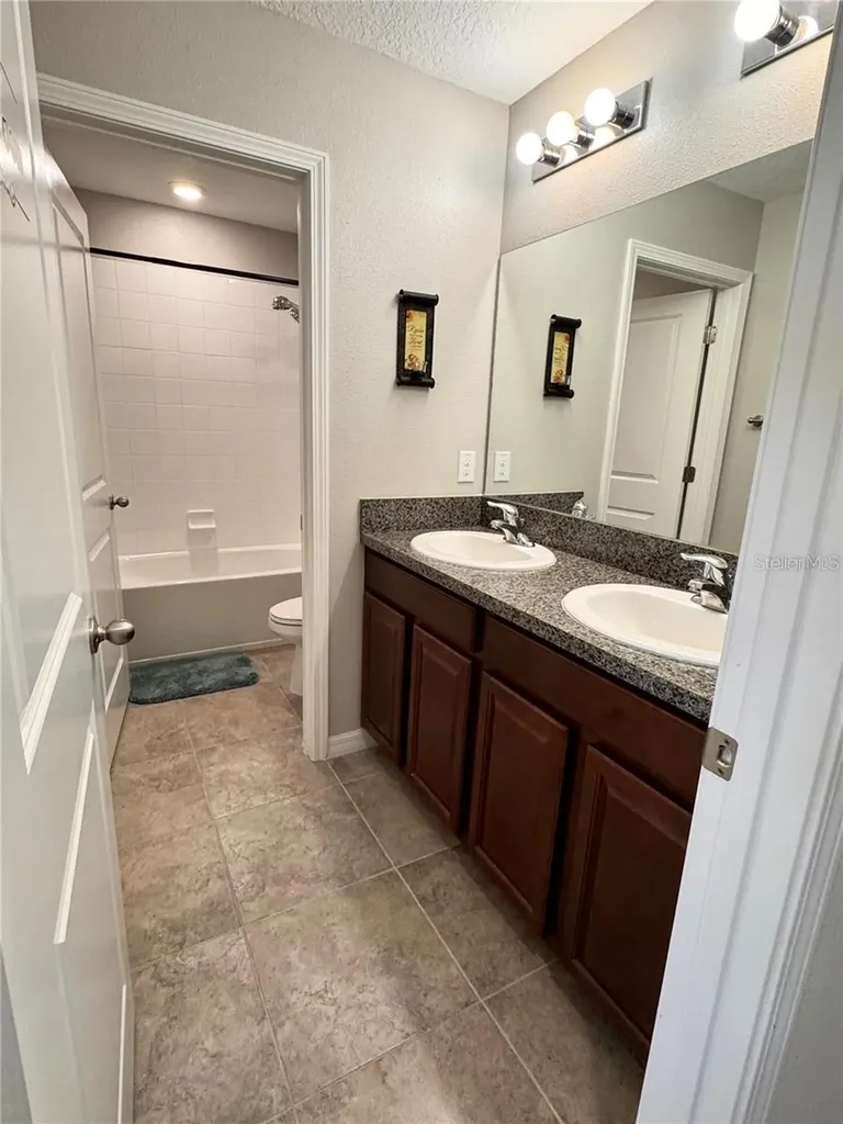 12717 Lemon Pepper Drive Riverview FL 33578