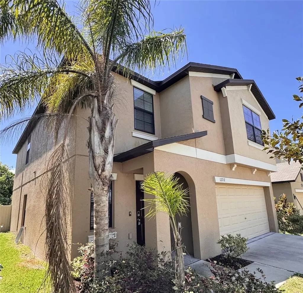 12717 Lemon Pepper Drive Riverview FL 33578