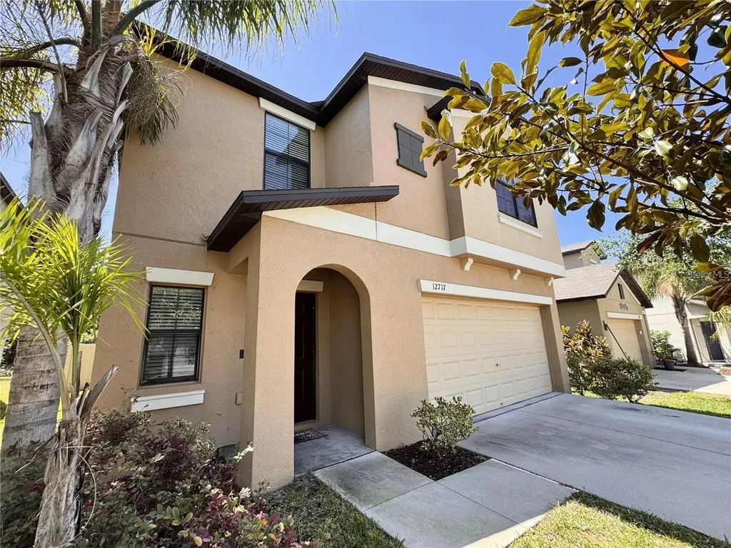 12717 Lemon Pepper Drive Riverview FL 33578