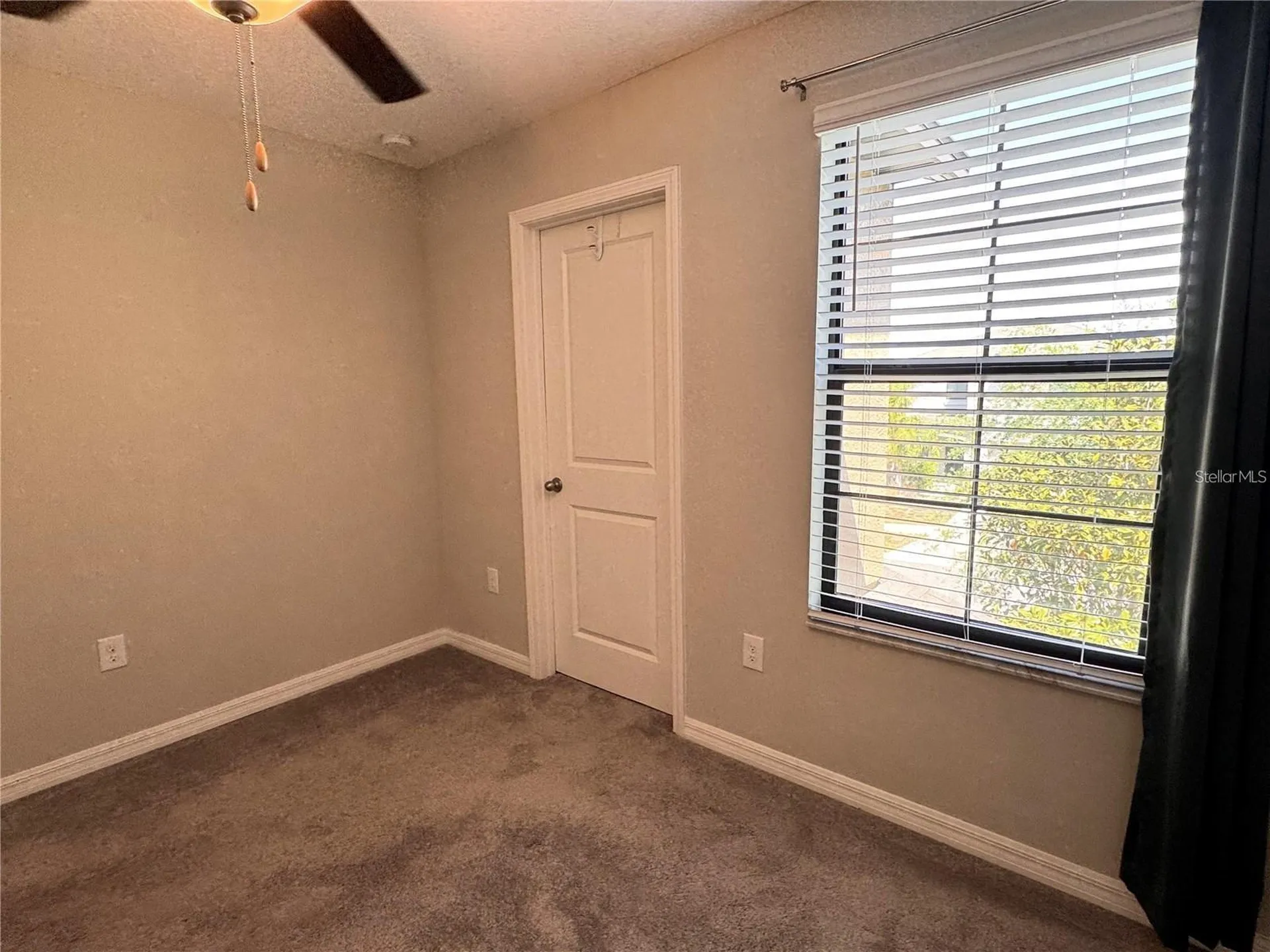 12717 Lemon Pepper Drive Riverview FL 33578