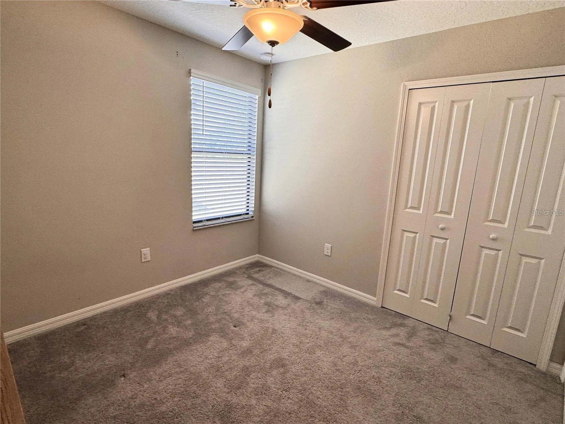 12717 Lemon Pepper Drive Riverview FL 33578