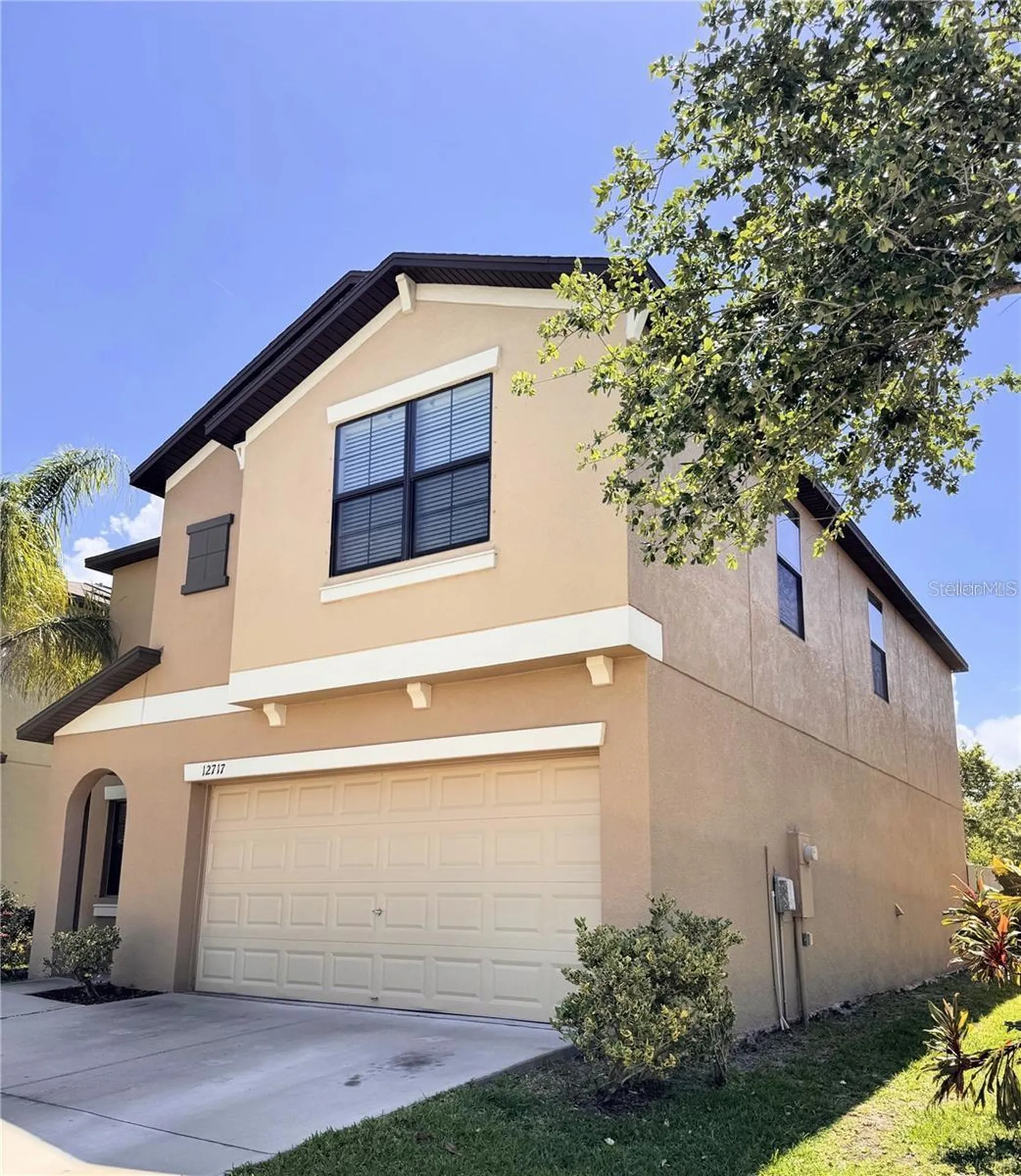 12717 Lemon Pepper Drive Riverview FL 33578