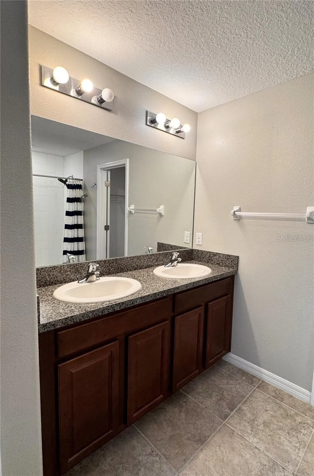 12717 Lemon Pepper Drive Riverview FL 33578
