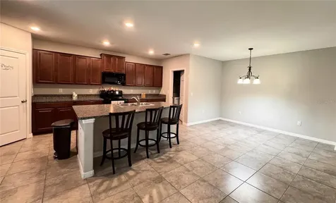 12717 Lemon Pepper Drive Riverview FL 33578