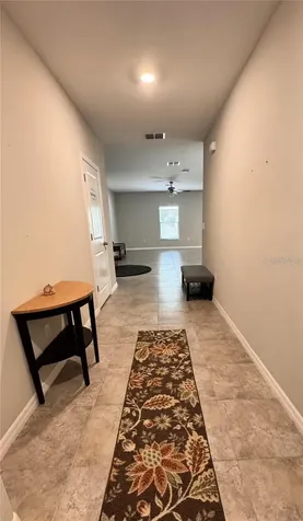 12717 Lemon Pepper Drive Riverview FL 33578