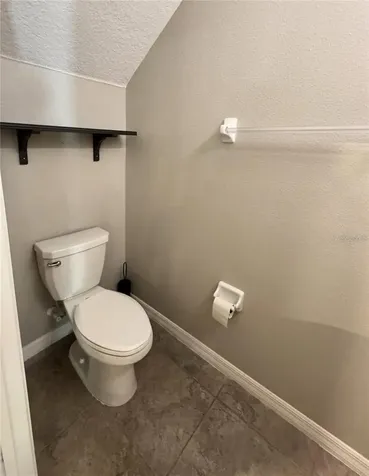 12717 Lemon Pepper Drive Riverview FL 33578