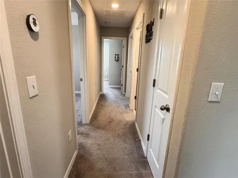 12717 Lemon Pepper Drive Riverview FL 33578
