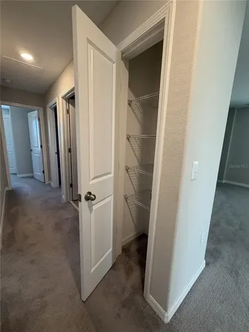 12717 Lemon Pepper Drive Riverview FL 33578
